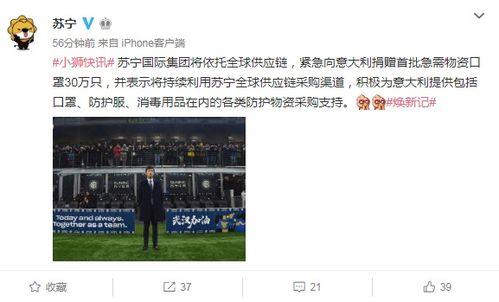 意大利爆料苏宁是谁啊视频,意大利爆料视频中的苏宁之谜  第3张