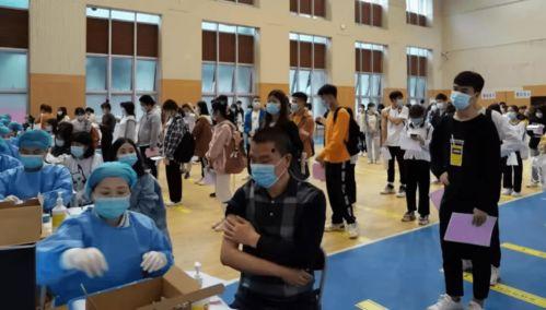 玲珑宫大爆料最新消息,独家爆料揭开宫廷秘闻面纱  第3张