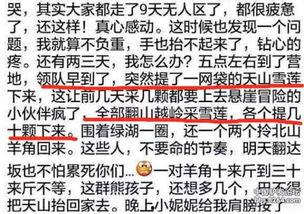 爆料雪莲的视频大全集,揭秘神秘雪莲的神奇魅力  第2张