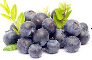 娱乐吃瓜酱蓝莓,吃瓜酱带你领略明星幕后故事 第3张 娱乐吃瓜酱蓝莓,吃瓜酱带你领略明星幕后故事 第3张