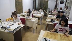 杭州学校爆料新闻最新事件,真相揭秘，学生安全引关注